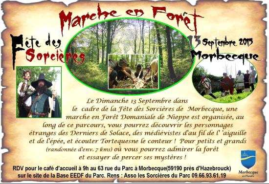 Bandeau marche en foret 28cmx20 1